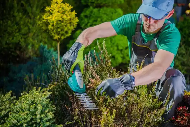 landscaping services Bourbon